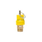 Air Compressor Safety Release Valve